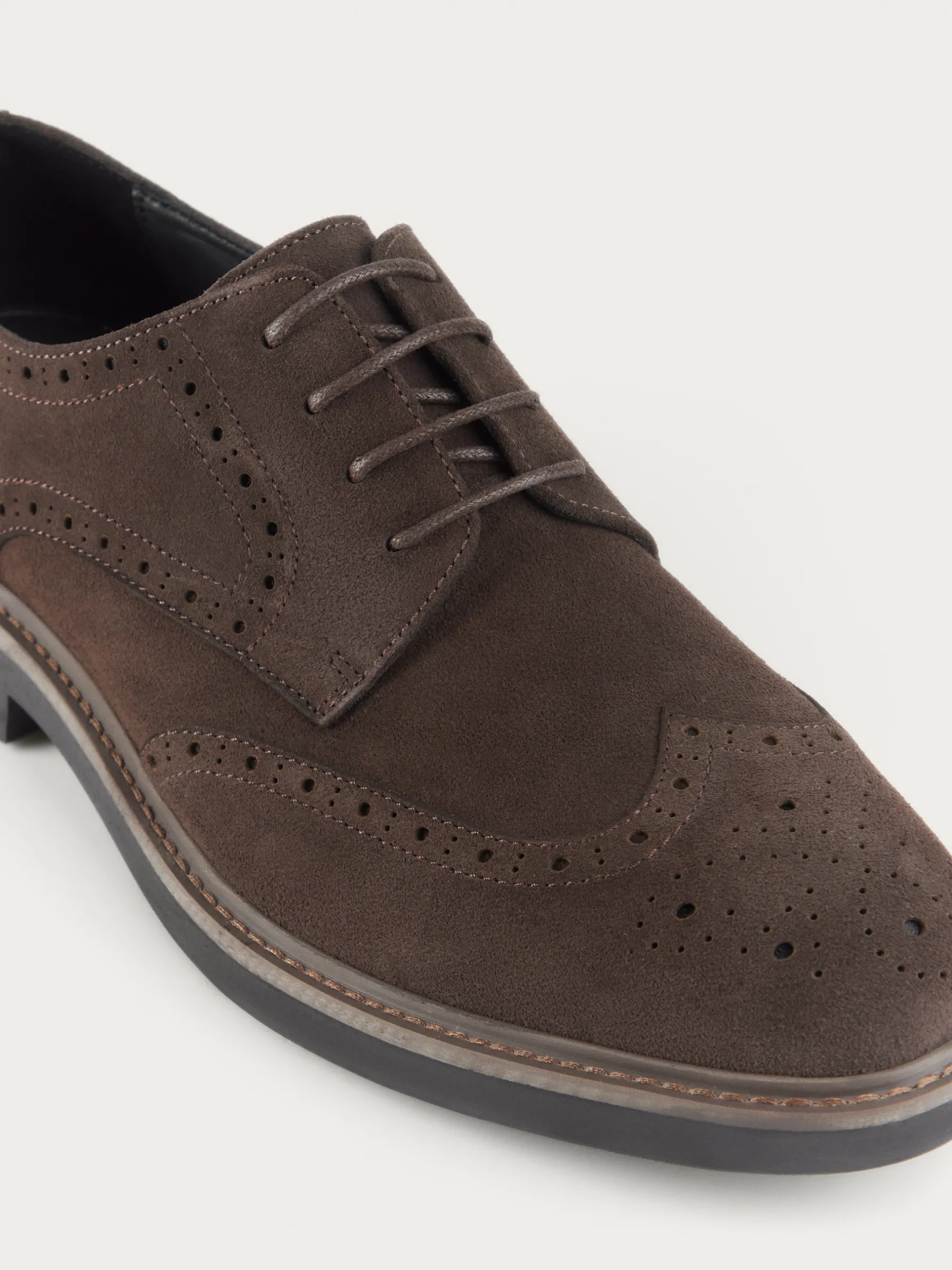 Clearance BLUCHER PICADO MARRÓN Hombre Vestir