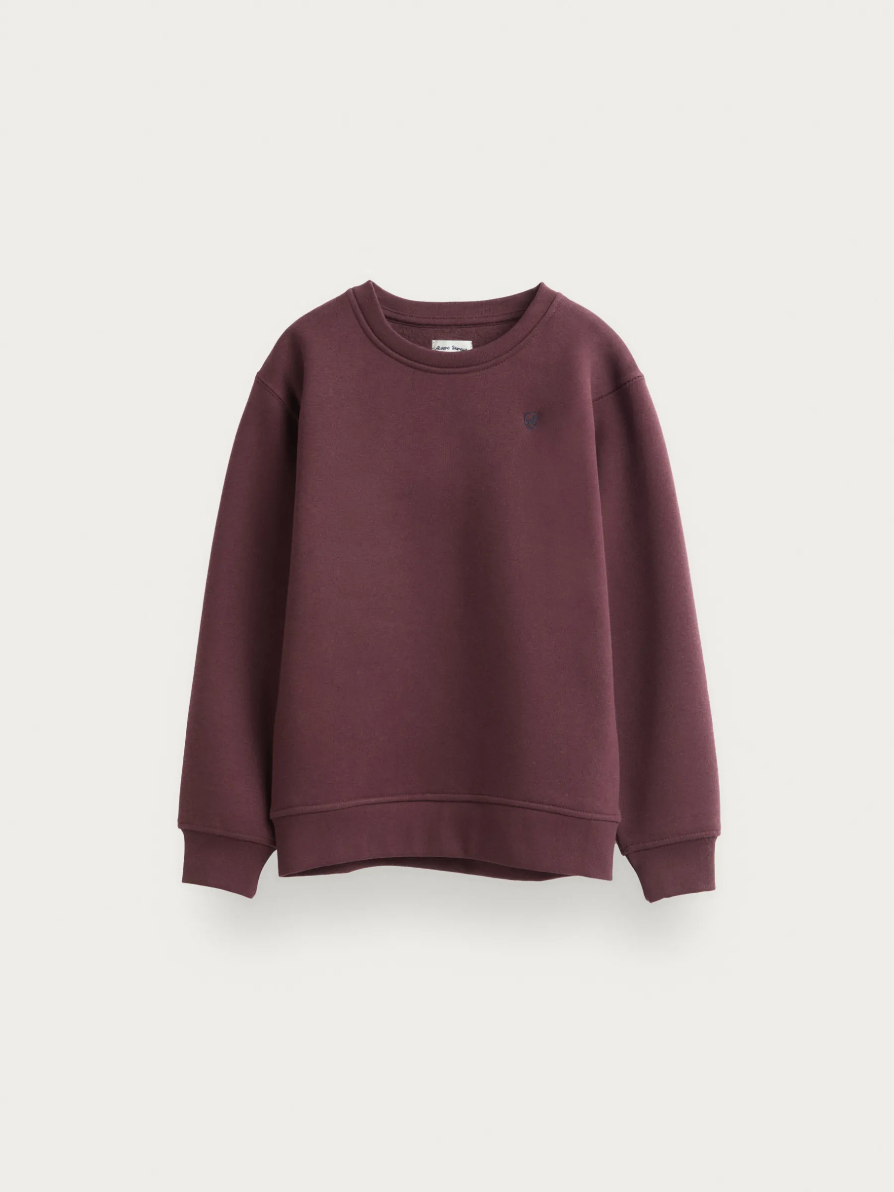Shop SUDADERA BASICA KIDS Sudaderas